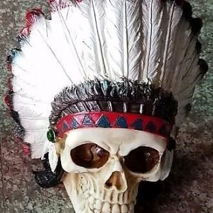 Native American Skull