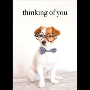 Thinking Of You - Dog Card