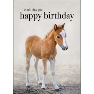 Happy Birthday Horse Greeting Card