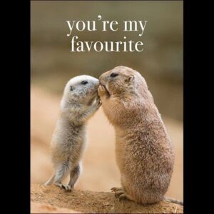 You're My Favourite- Squirrel Greeting Card