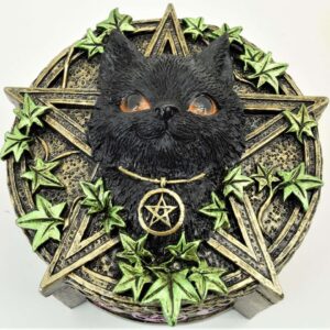 Black Cat Box