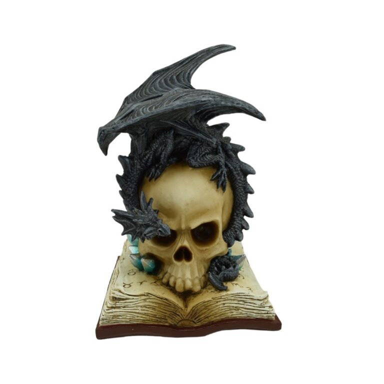 Skull on book with Black Dragon