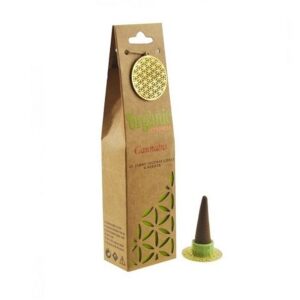 Organic Jumbo Cones Cannabis