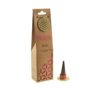 Organic Jumbo Cones Rose