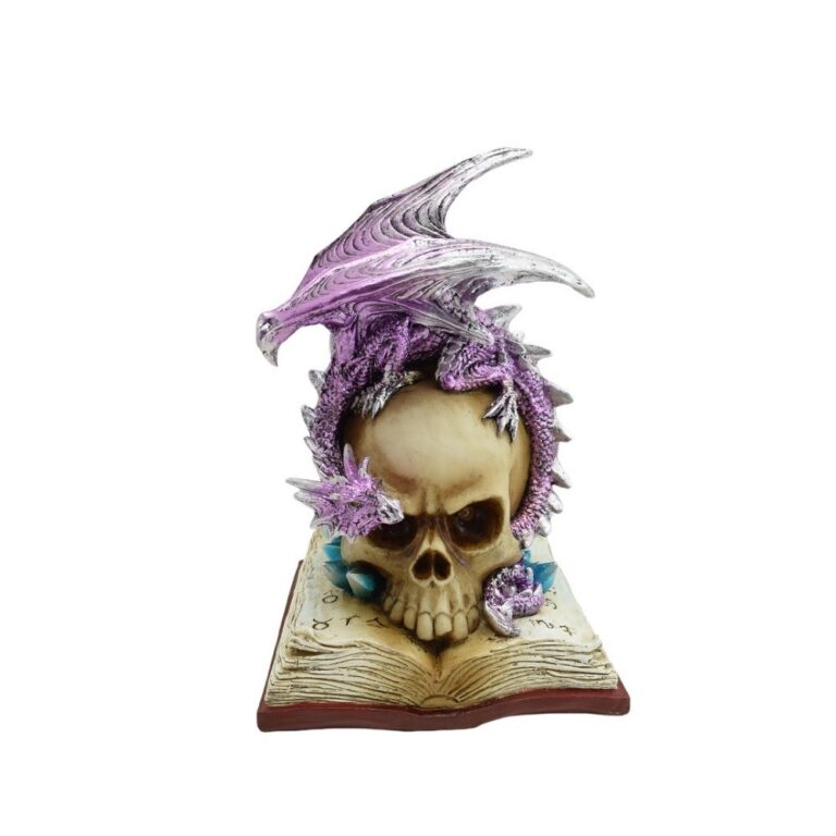 Skull on book with Purple Dragon